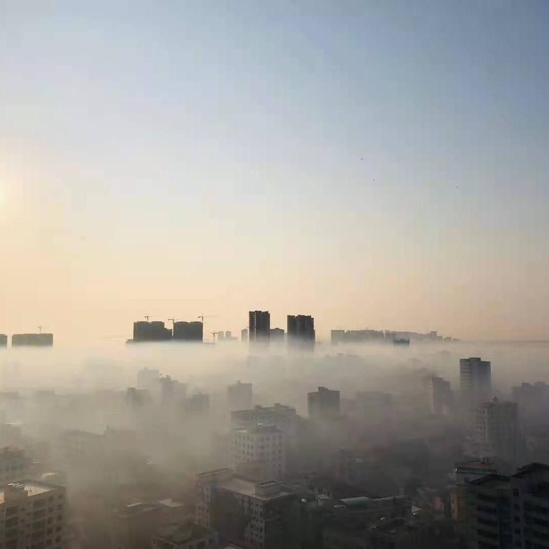 晨露未晞