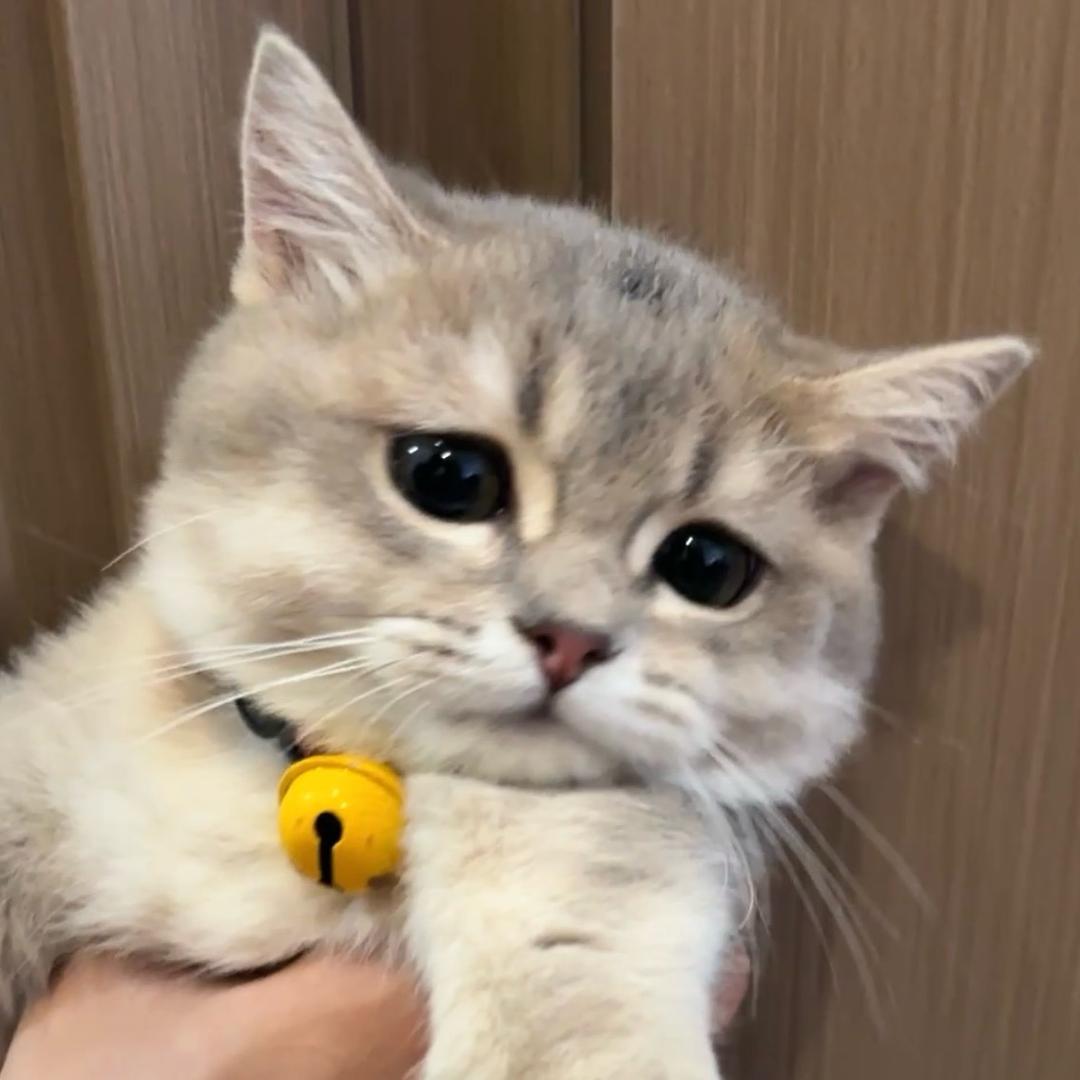 钮钴禄.武松