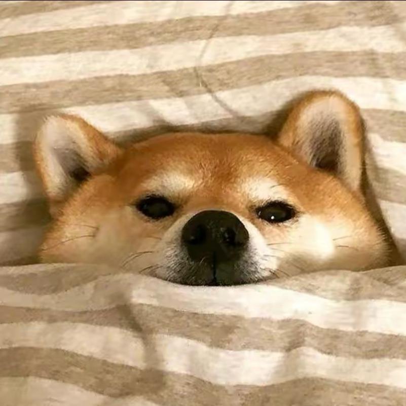 小济（伤感版）