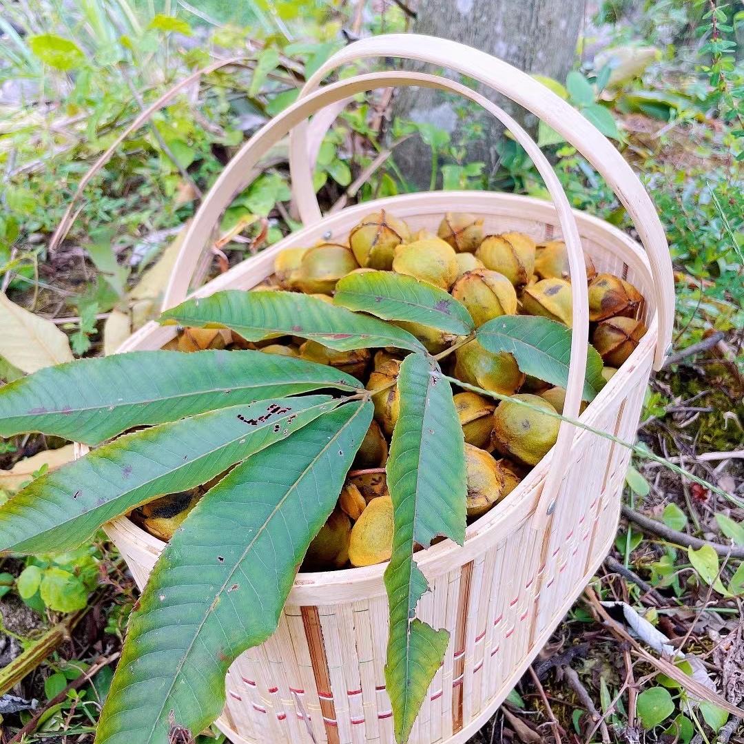 临安阿木食品