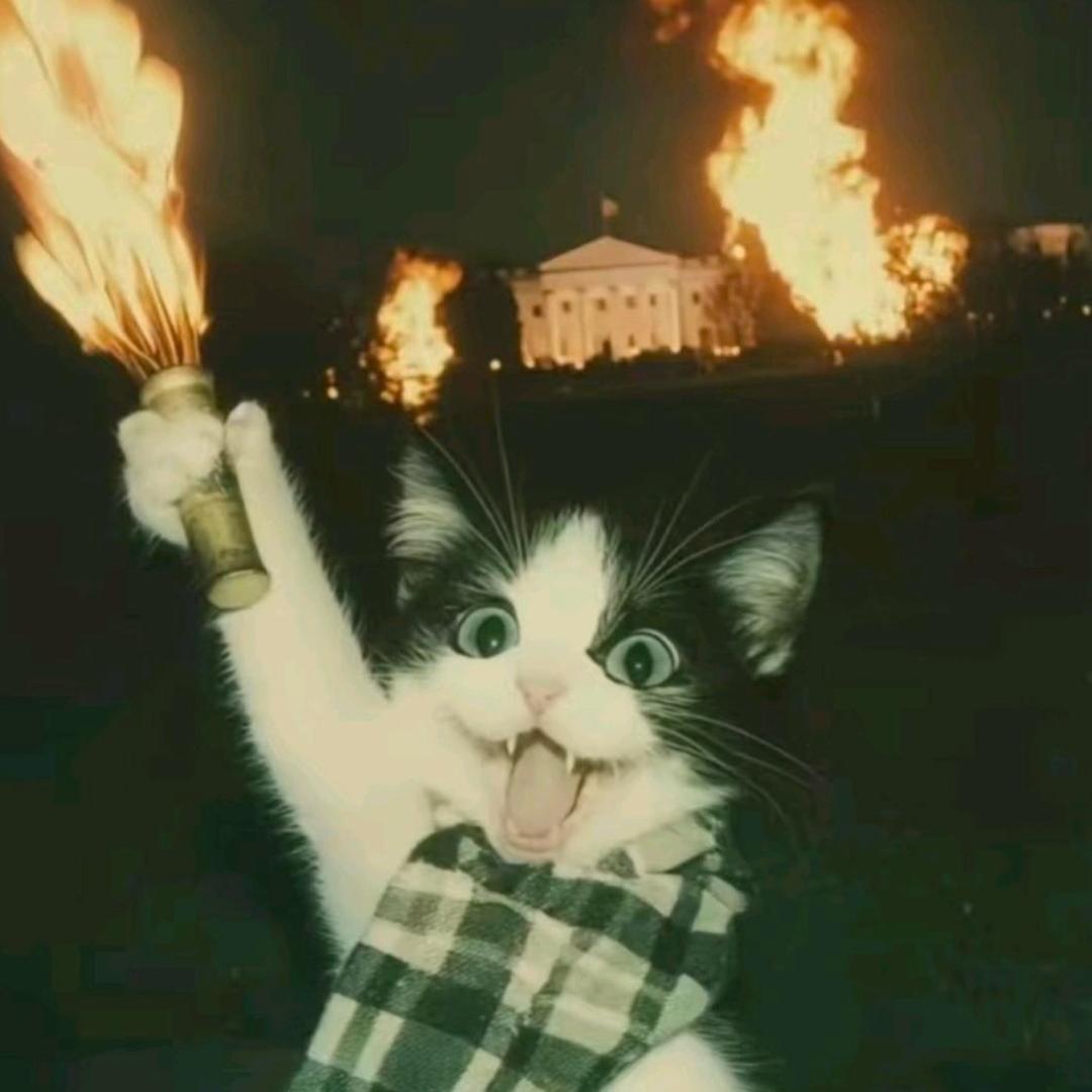 慢慢的