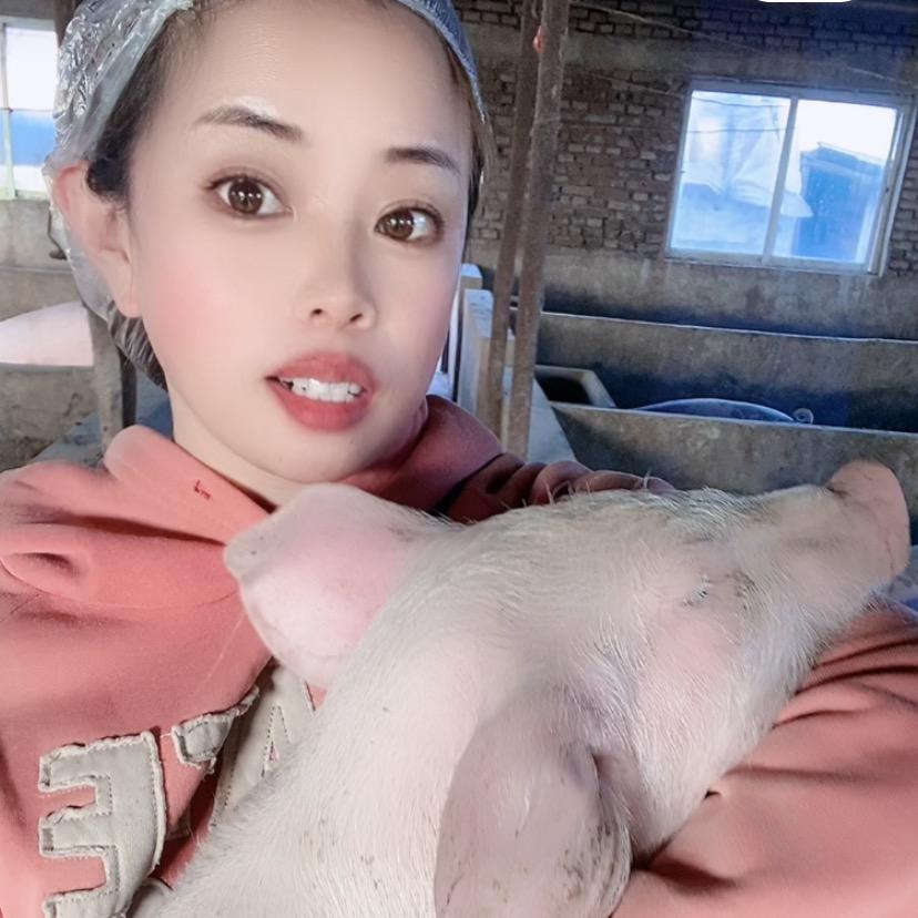 养猪小妹