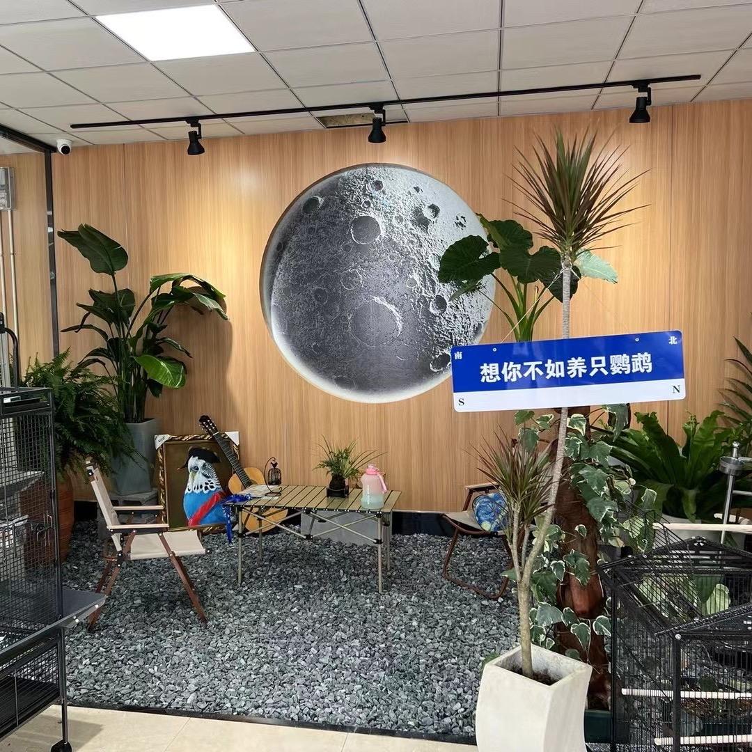 宿迁清云宠业（鹦鹉🦜爬宠)
