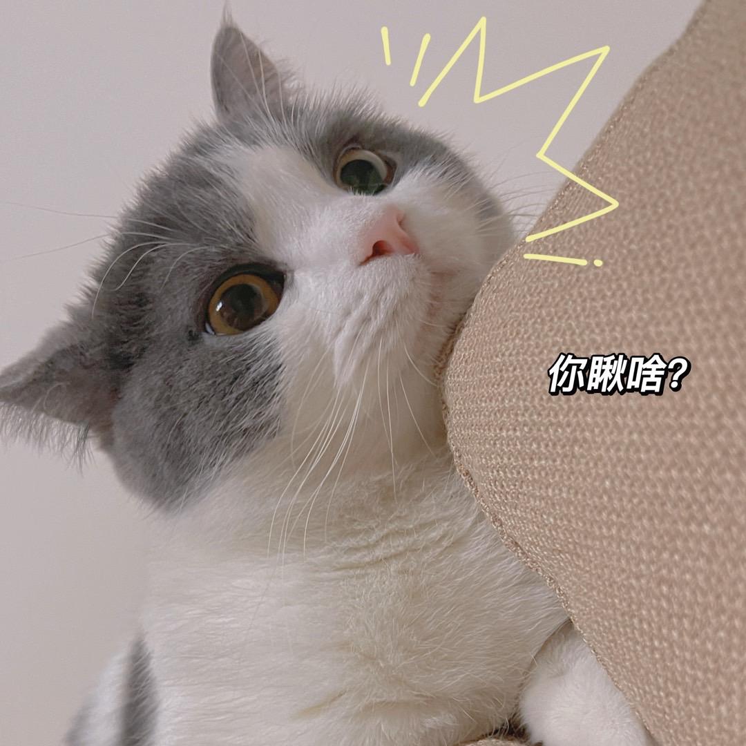 北太平洋烤鱼