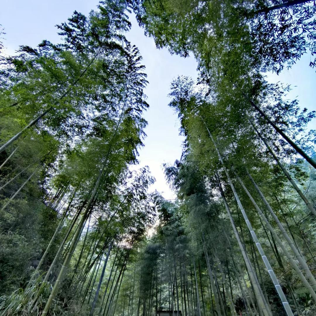索玛时海尔绿城桂花园店