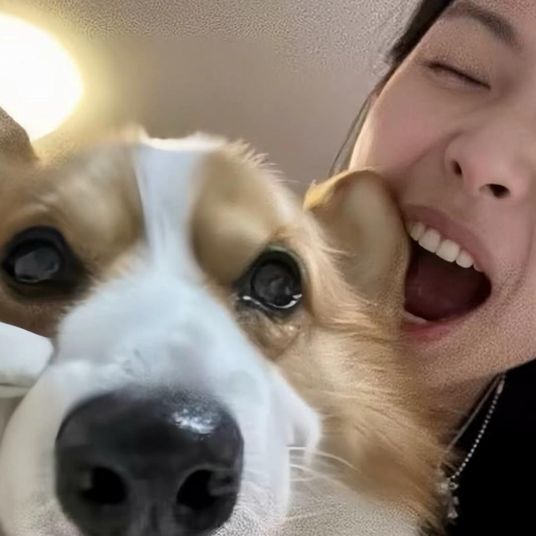¥