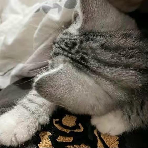 及 时 行 乐.🧸