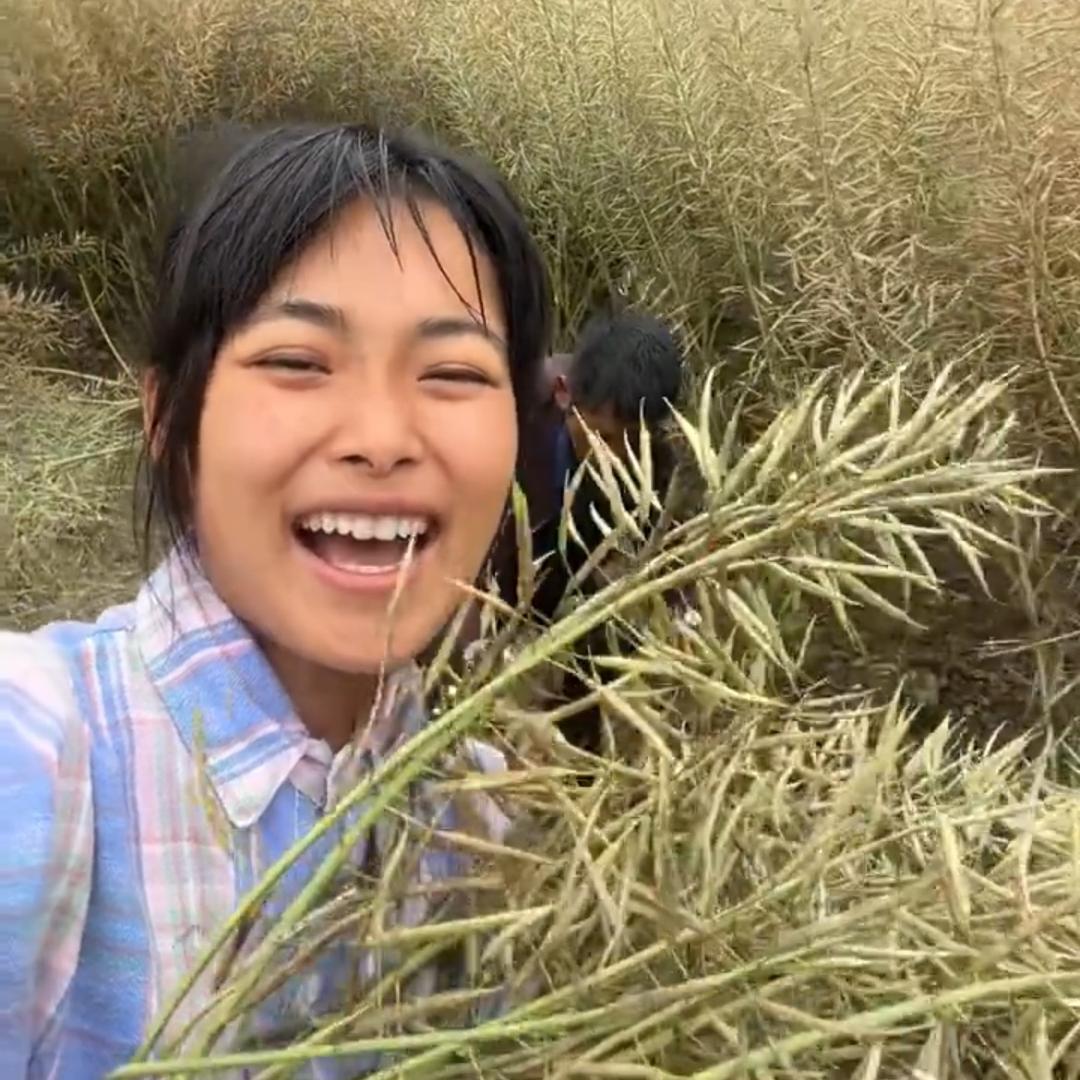 油满仓『增产增收』