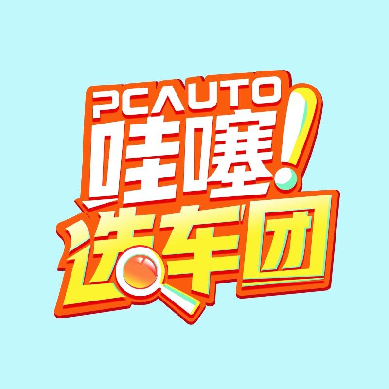 哇噻选车团