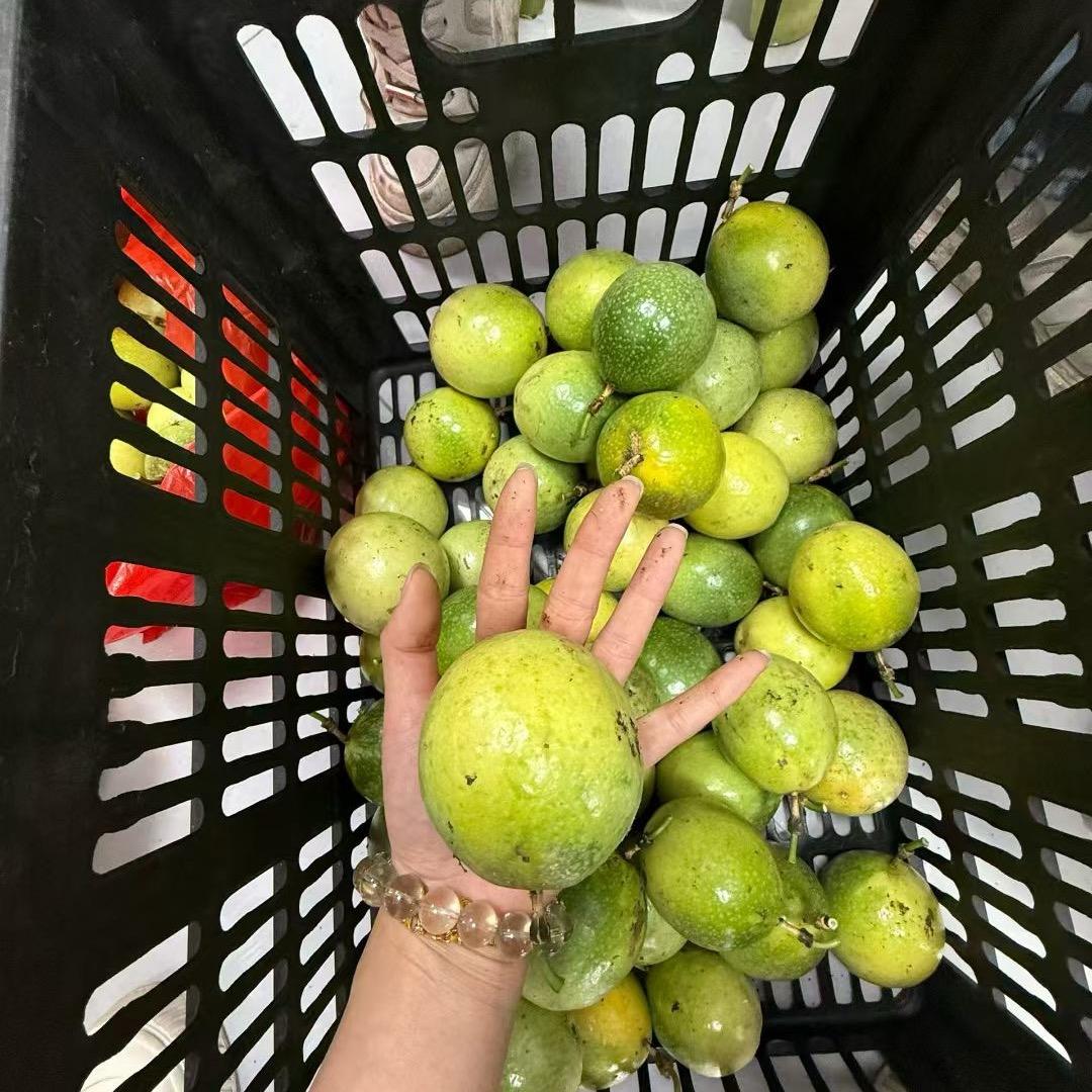 温州水果老