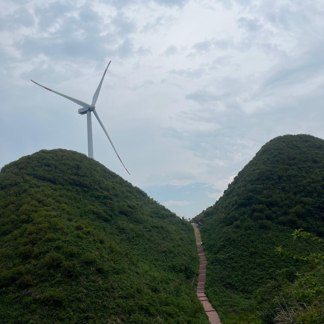 兰草爱好者