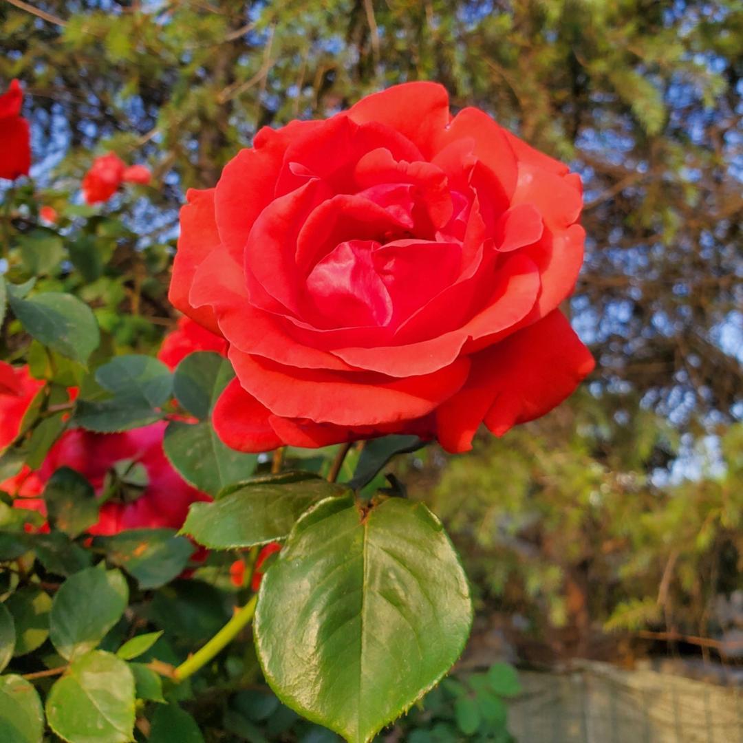 *用户69857186花花