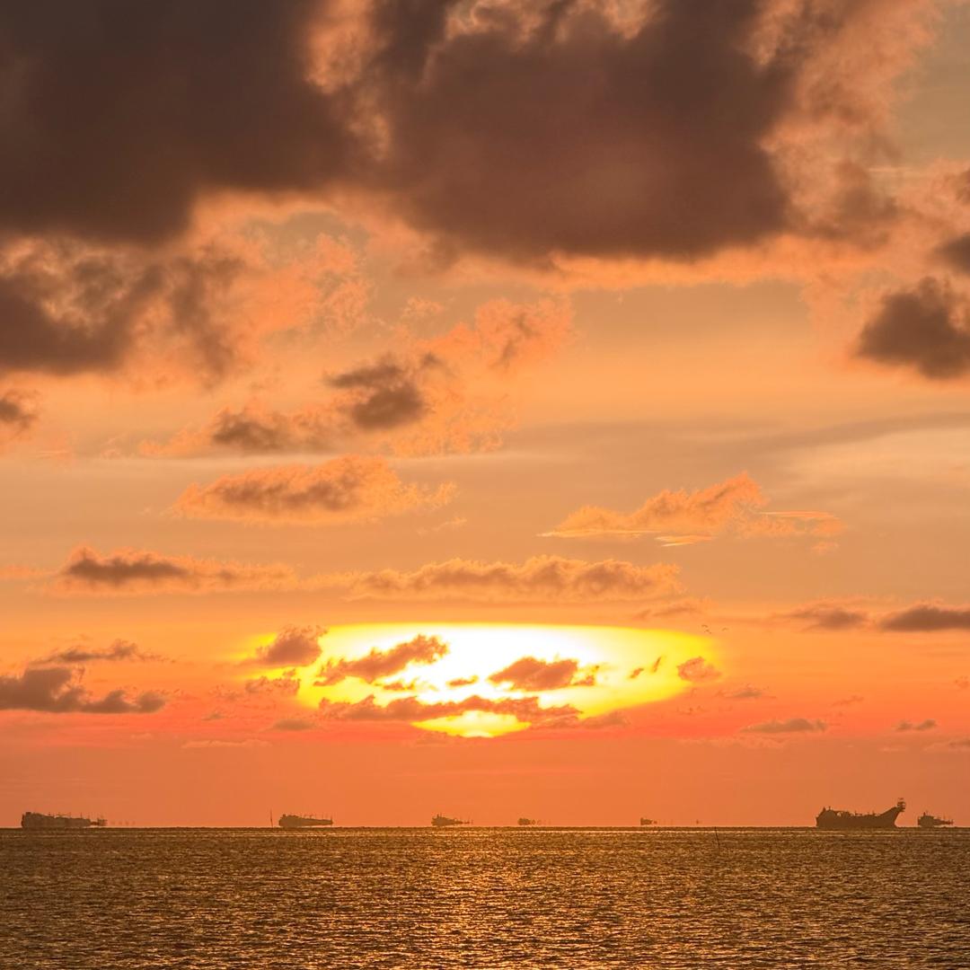 花开富贵别样红