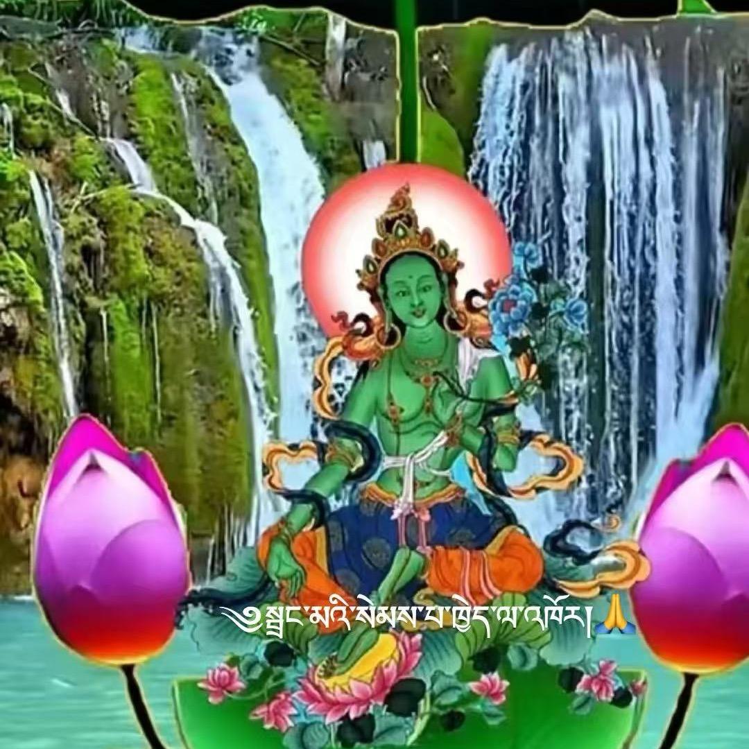 🔥康巴旦子🔥