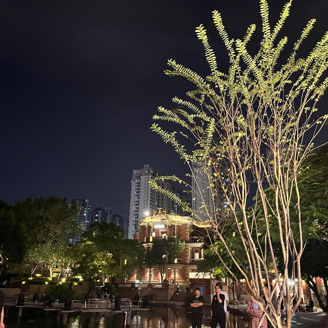 福建老刘助理号