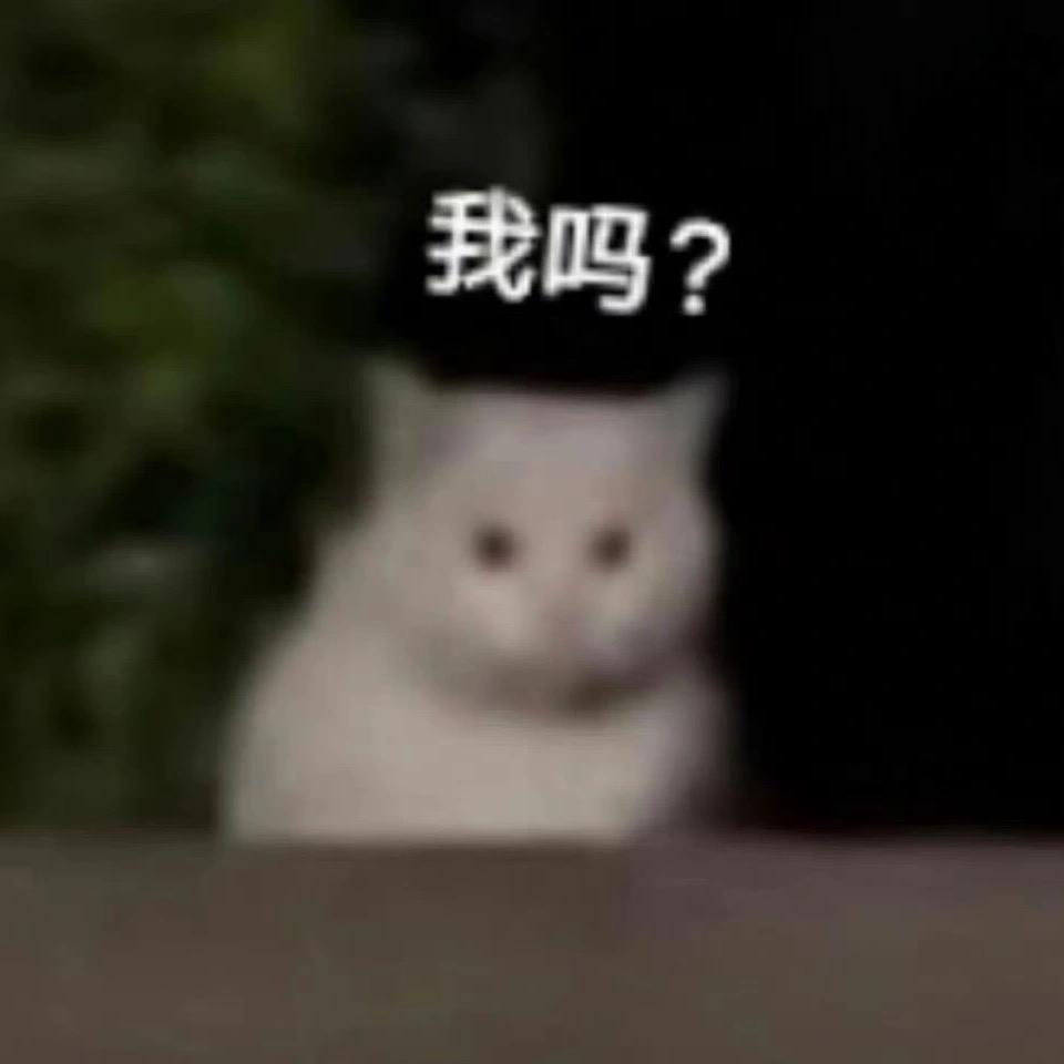 大漠孤喵