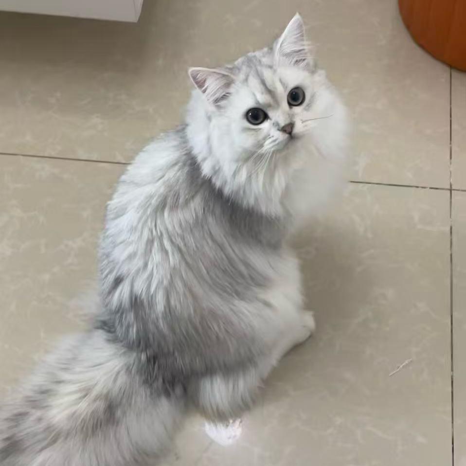 耶 巴 蒂