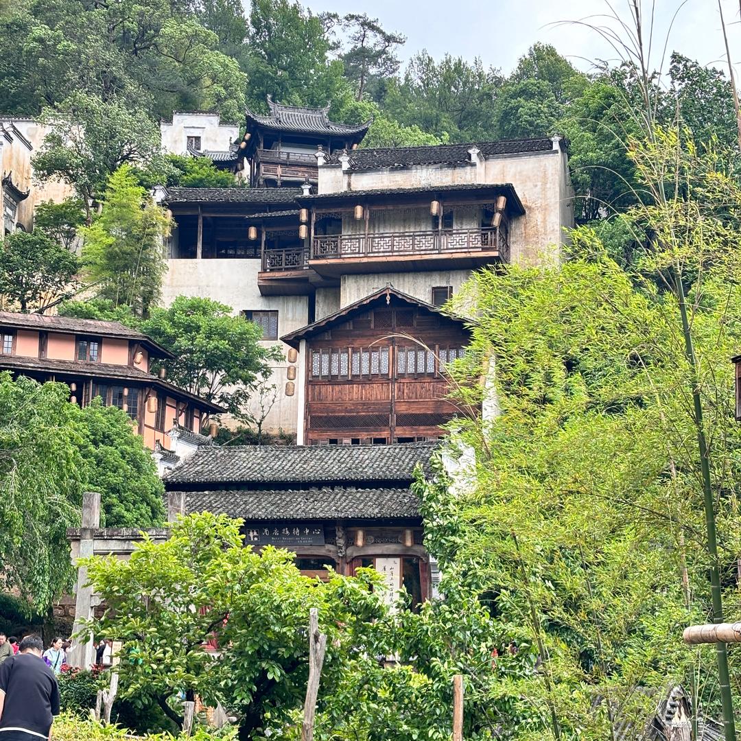景