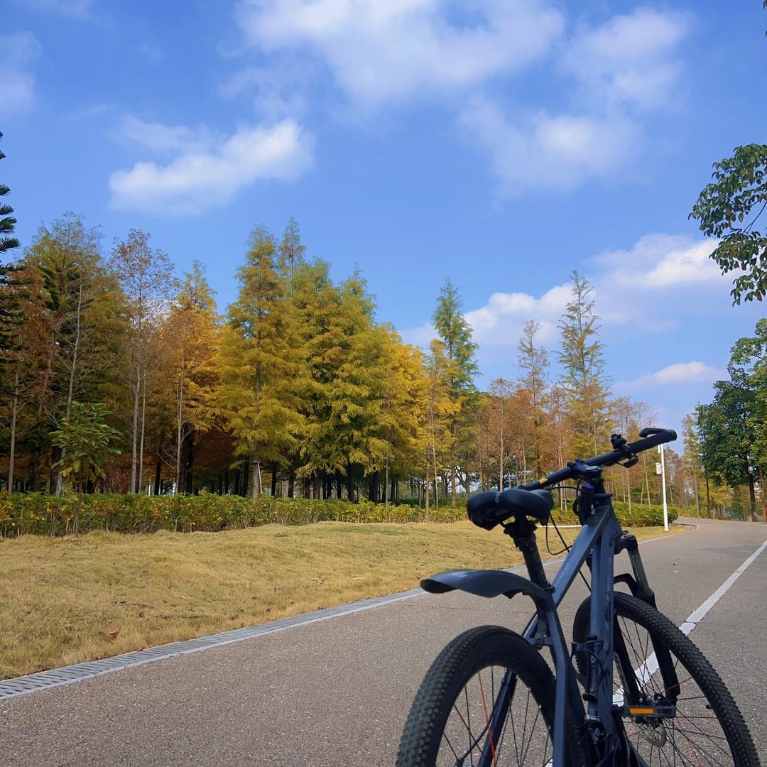 橘子酱⛺️(南宁露营装备出租)
