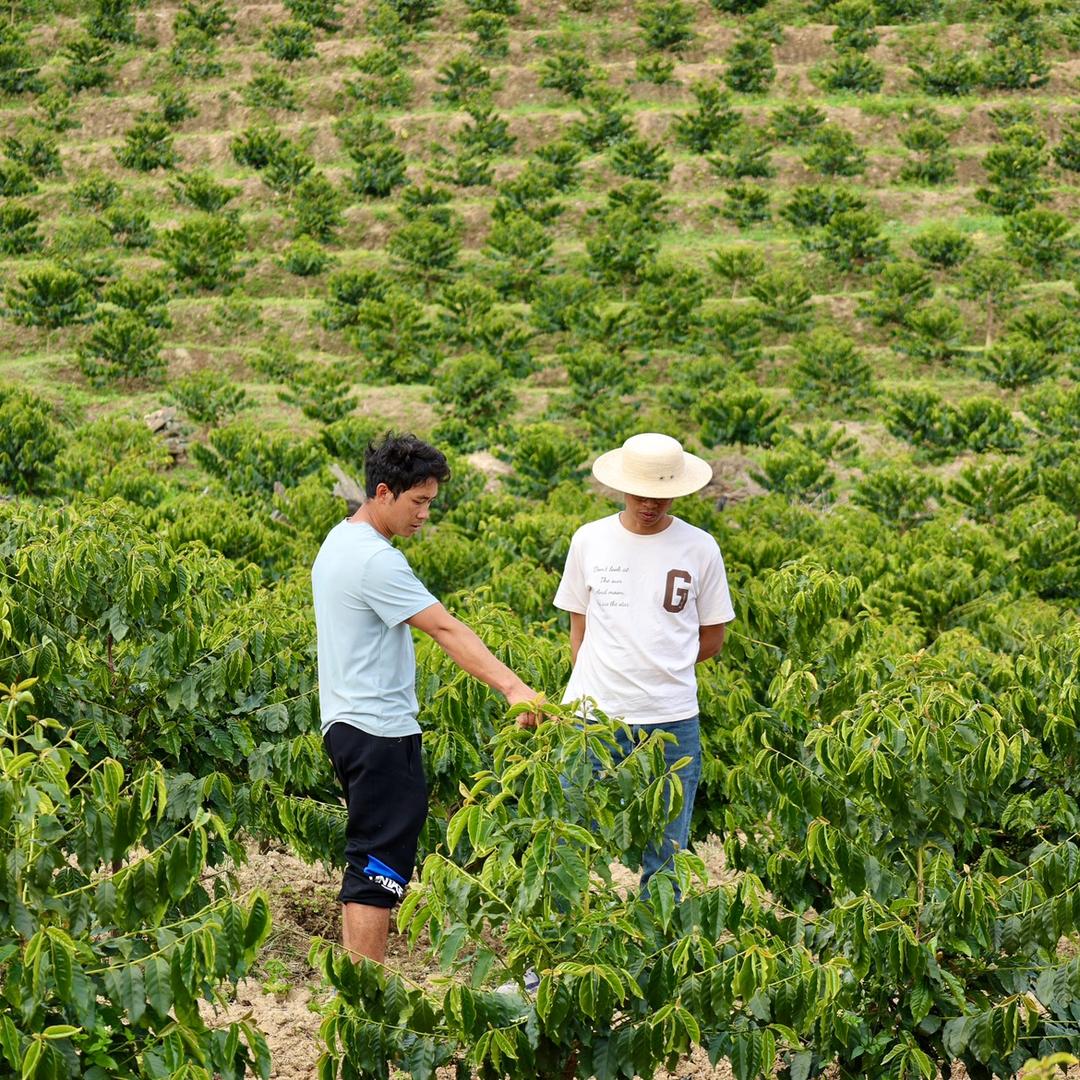 1500海拔精品铁皮卡……贵族咖啡