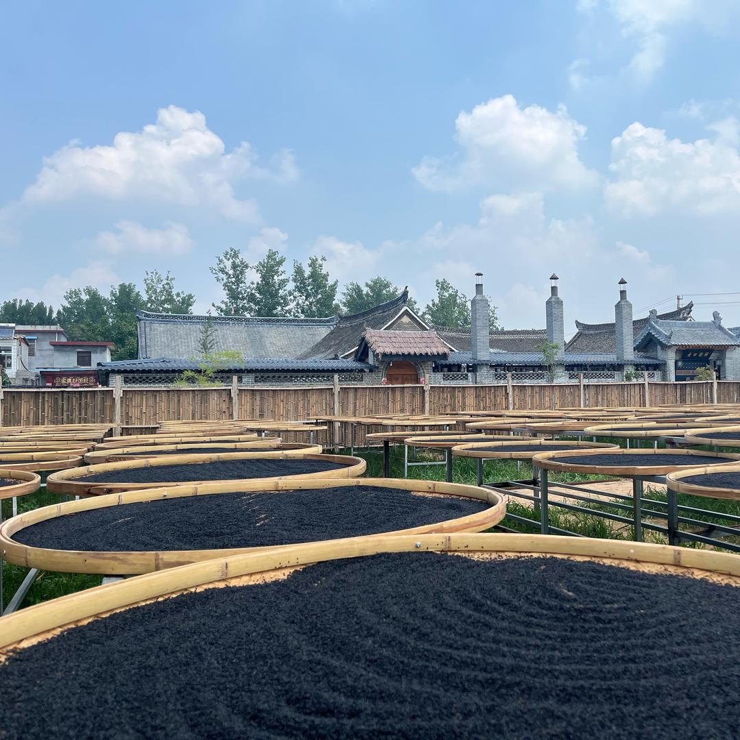 星哥的九蒸小院