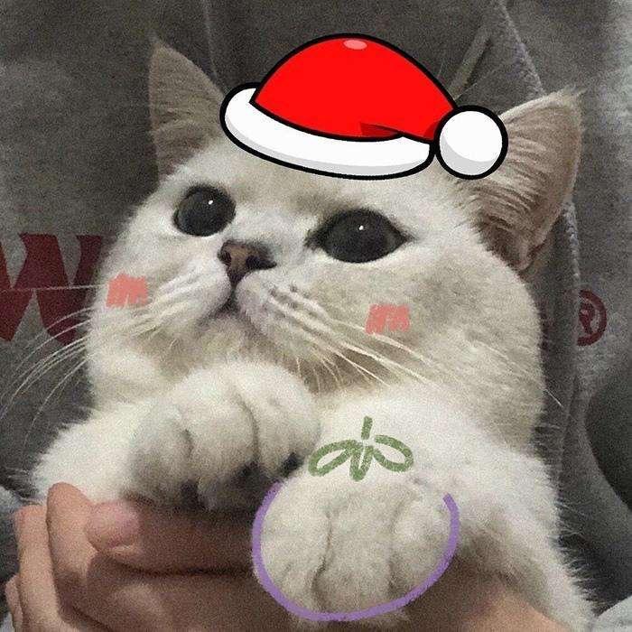 大聪明不玩游戏