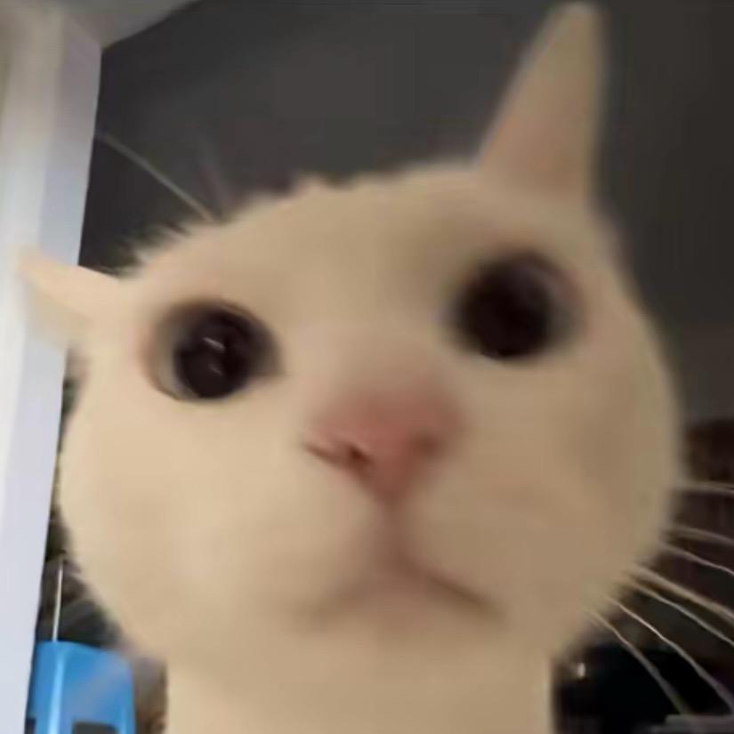 。