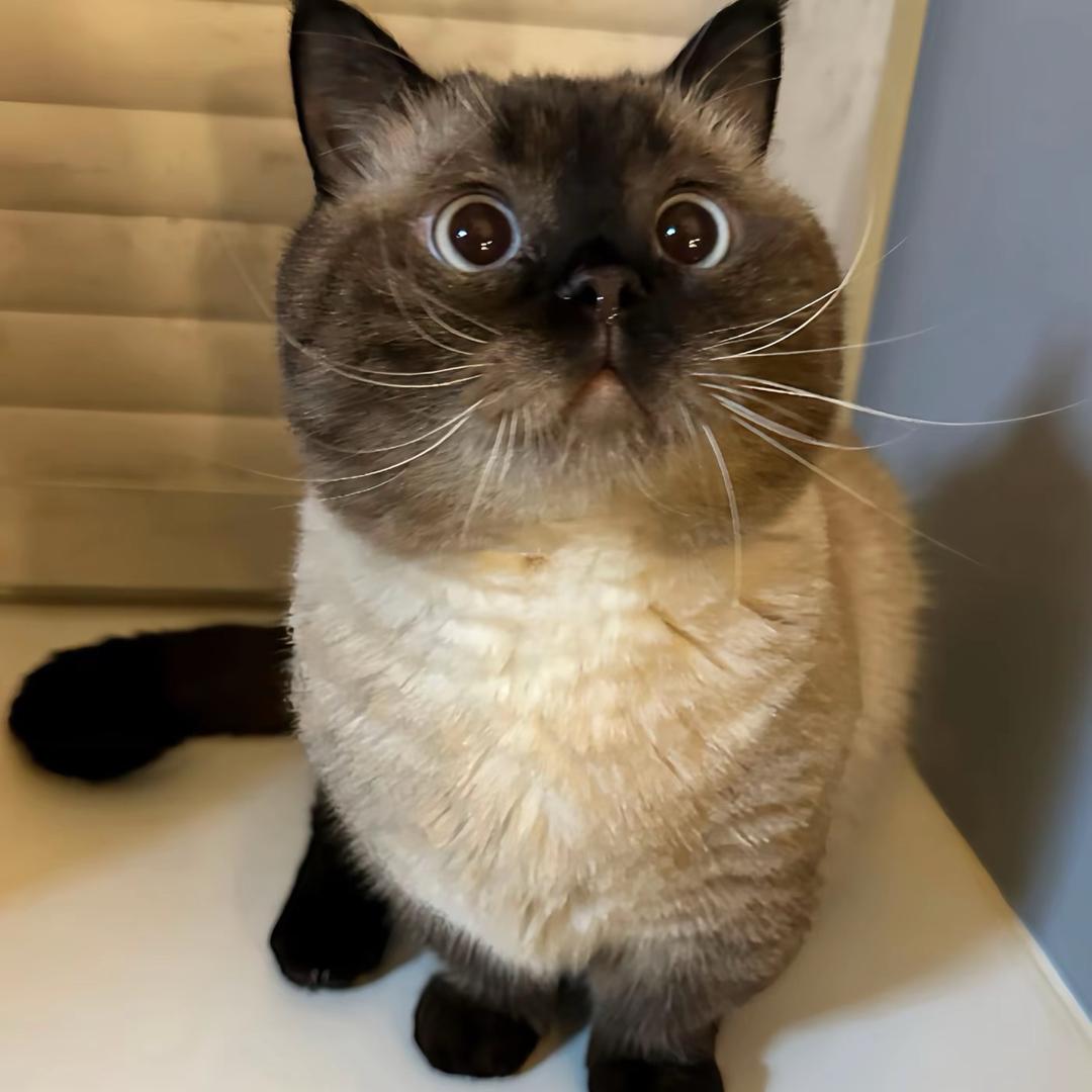 辣米纳米（互勉约拍版）