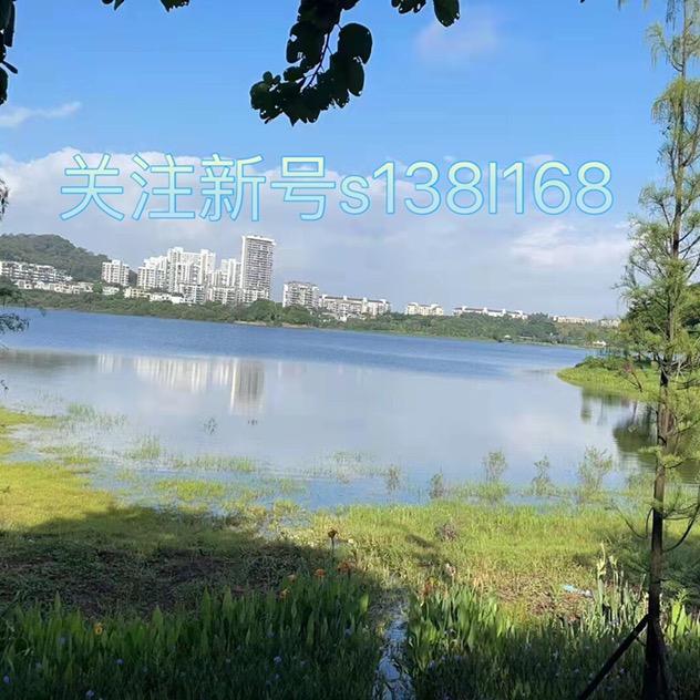 新抖音号s138l168