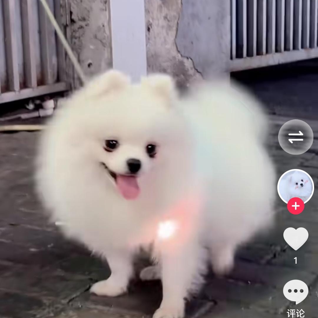 梦想成真