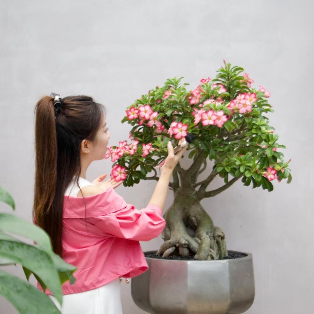 郑在挣钱针织品