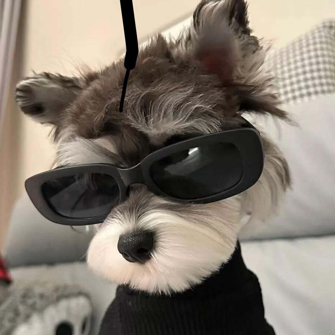 汪汪乐园（3号）