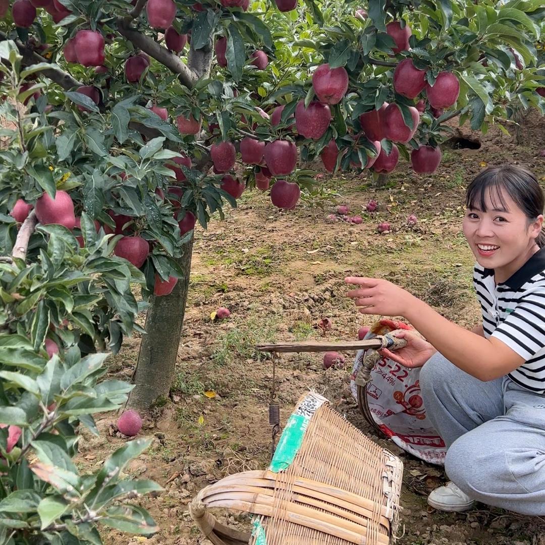 小小妮