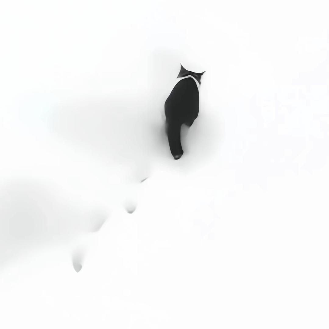 🚶🏿‍♀️.