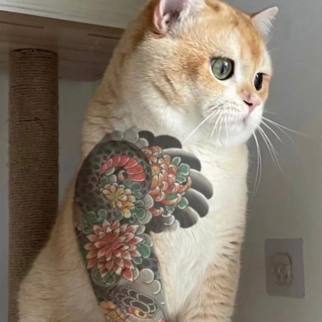 微微简