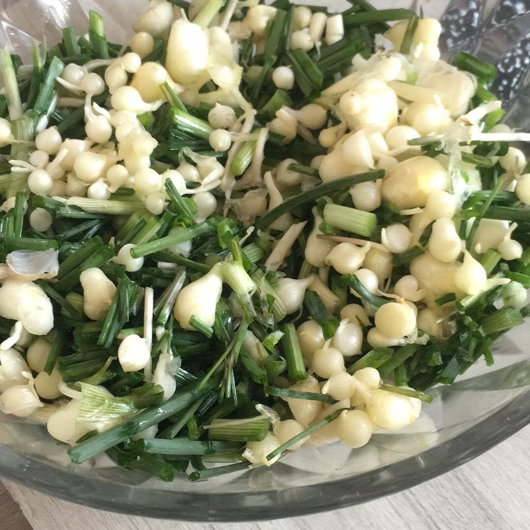 耿耿星河欲曙光