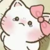小猫喵🐬