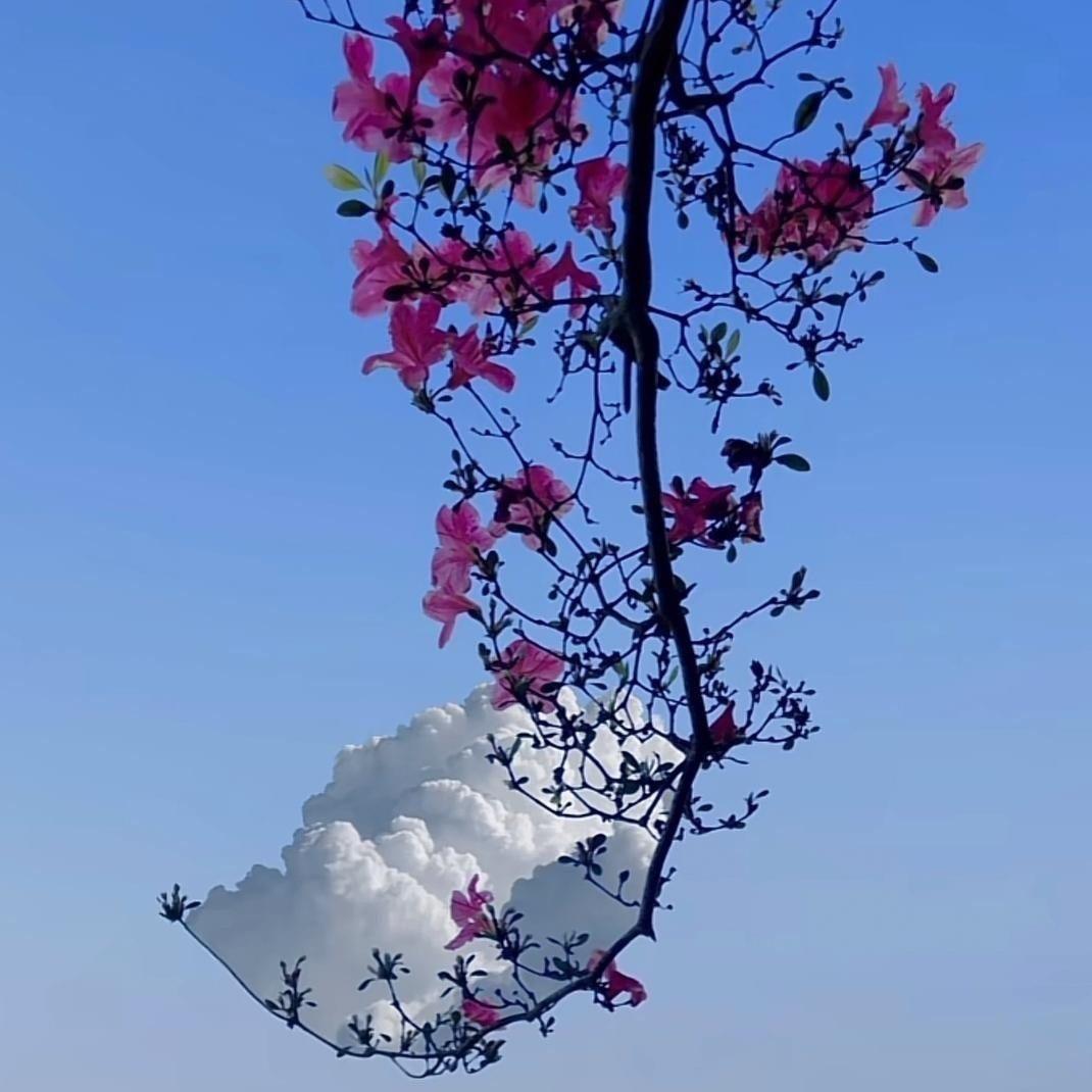一鸣惊任