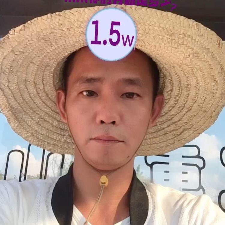 杨 杨