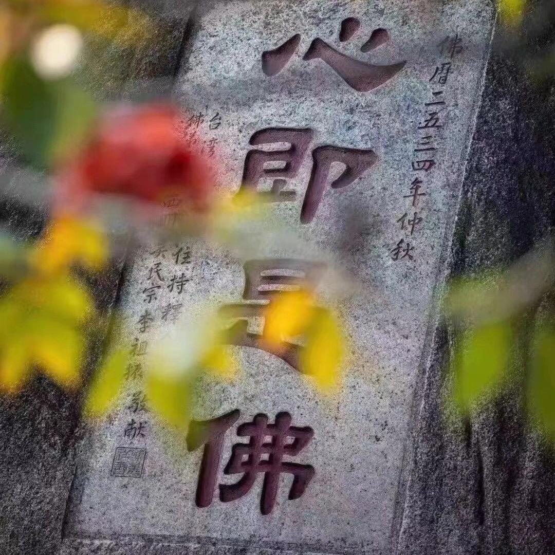 常念 禅师聊生宵