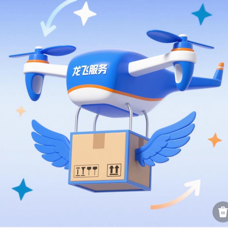 龙飞服务（无人机吊装）