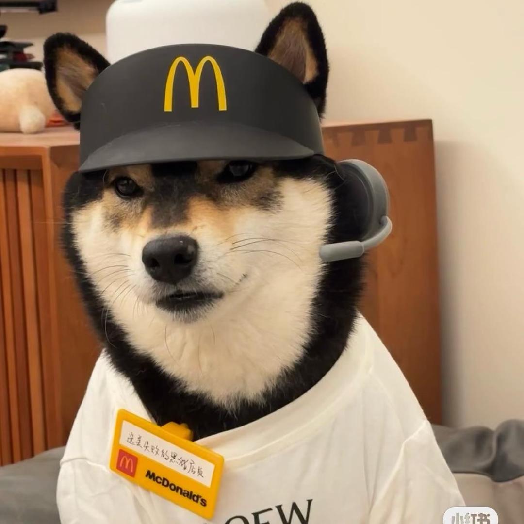 小张不哭