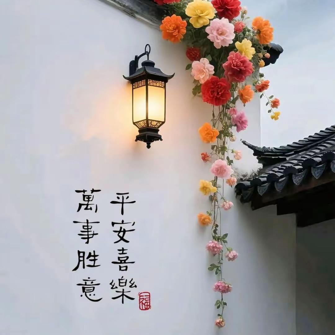 『ઇ拾光ঞ¹☀️♘♞』