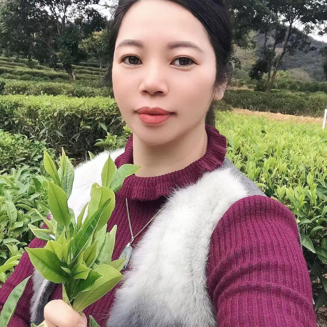 樱子单丛茶《老枞韵味》源产地茶厂批发直销