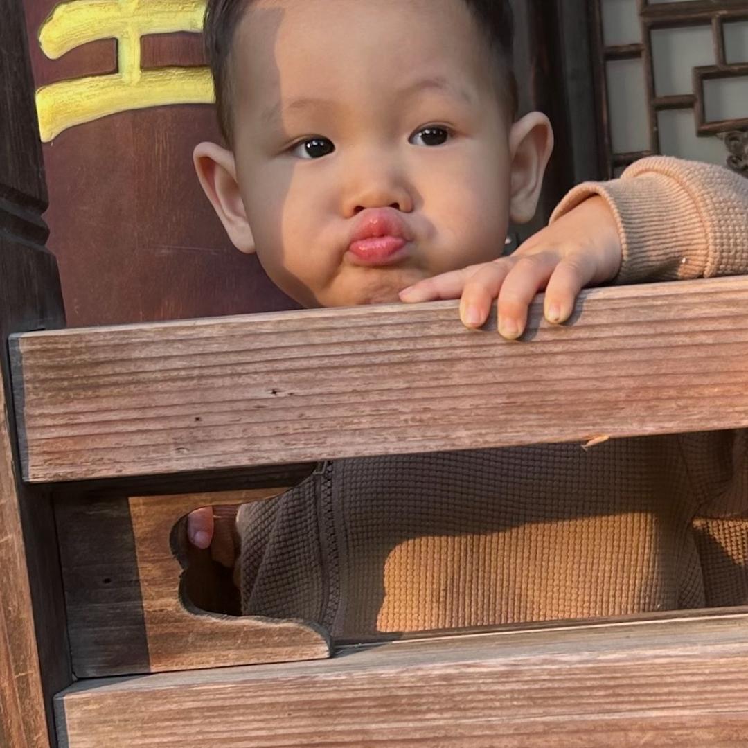🌰栗子