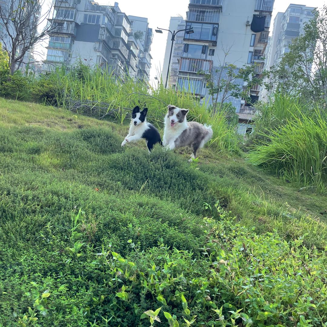 落叶～知秋