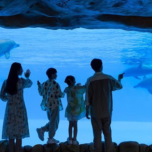 长隆亲子游团购