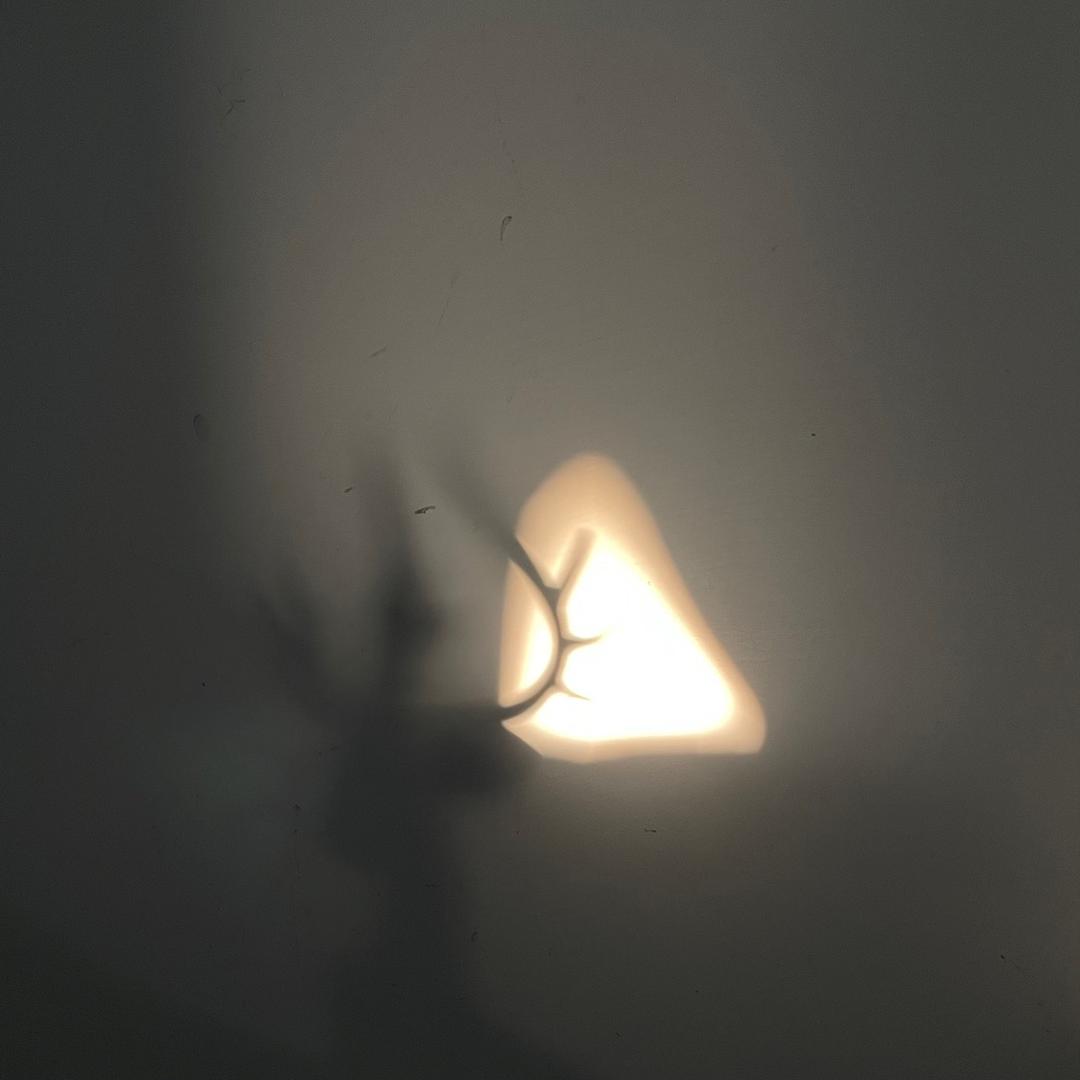 印地安老斑鸠