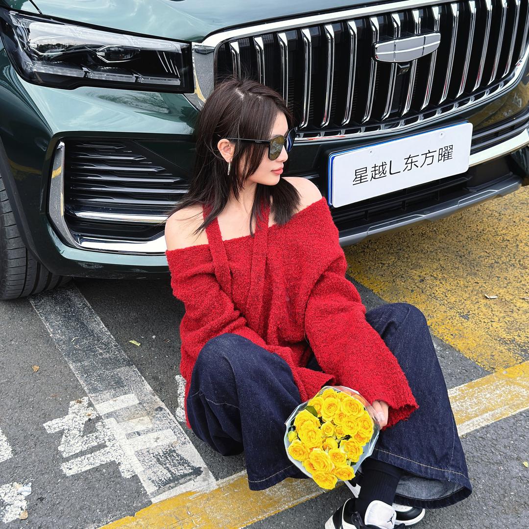 燕子的星越L🚗