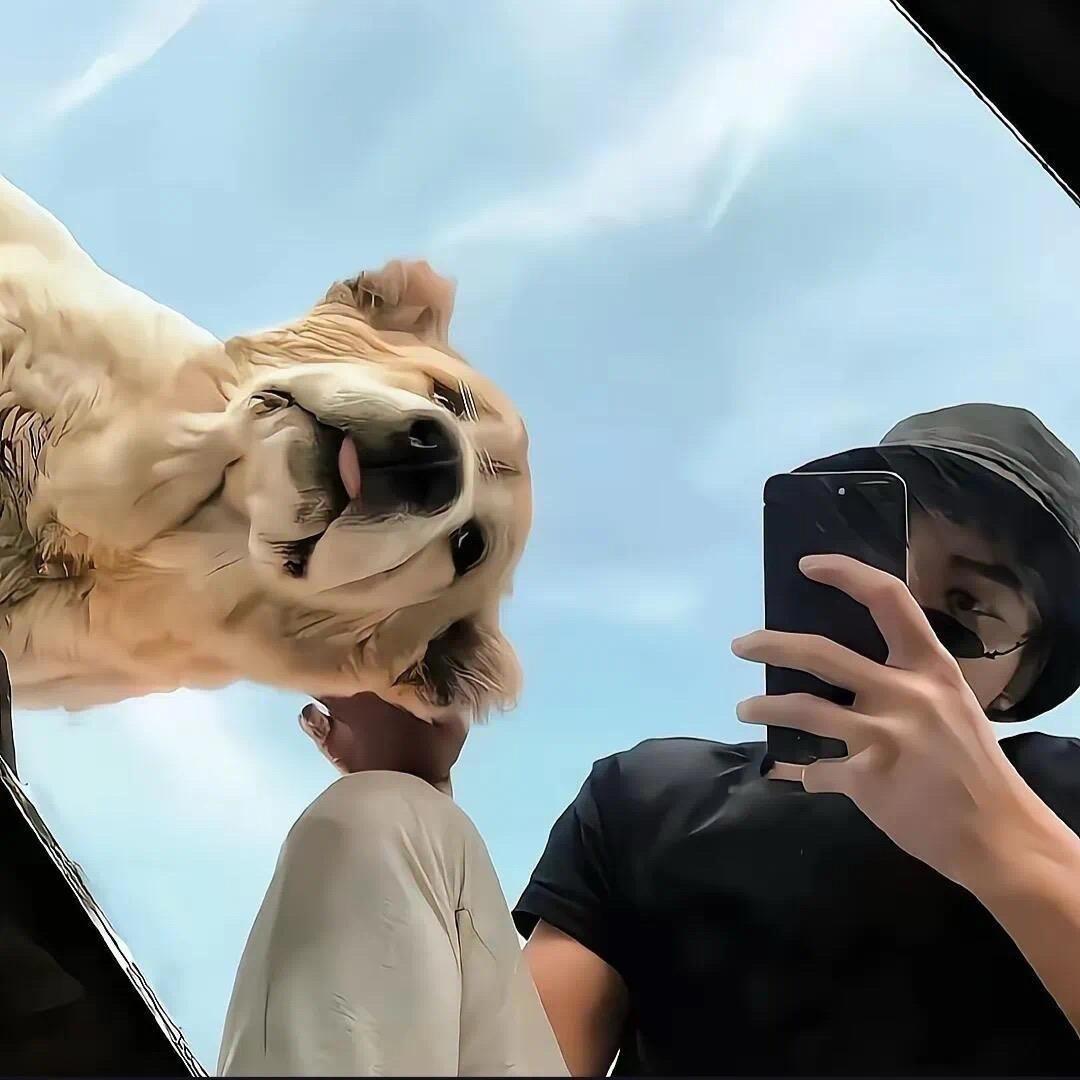 趙海霖🚶‍♂️